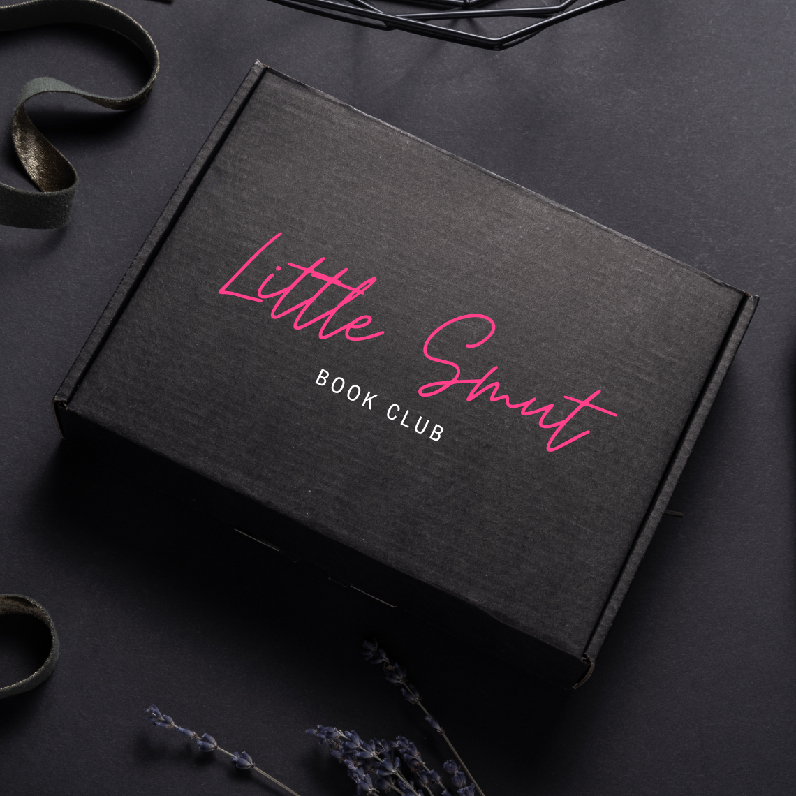 Discuss This Month’s Book LittleSmutCloset